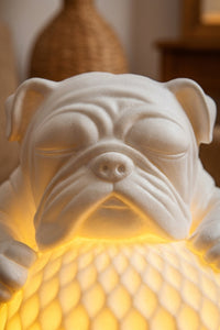 Bulldog Night Light, Sculptural Dog Table Lamp with Glowing Orb 9