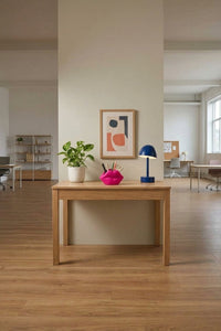 Lip Shaped Organizer – Stylish Desk & Vanity Holder 20